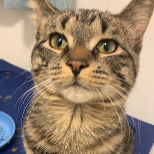 Meet your Posher, Kadence